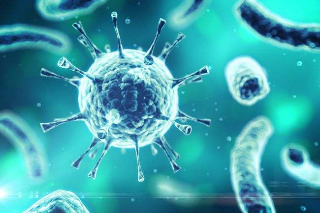 免疫印跡immunoblotting又稱蛋白質(zhì)印跡Western blotting基本原理、步驟、優(yōu)點(diǎn)